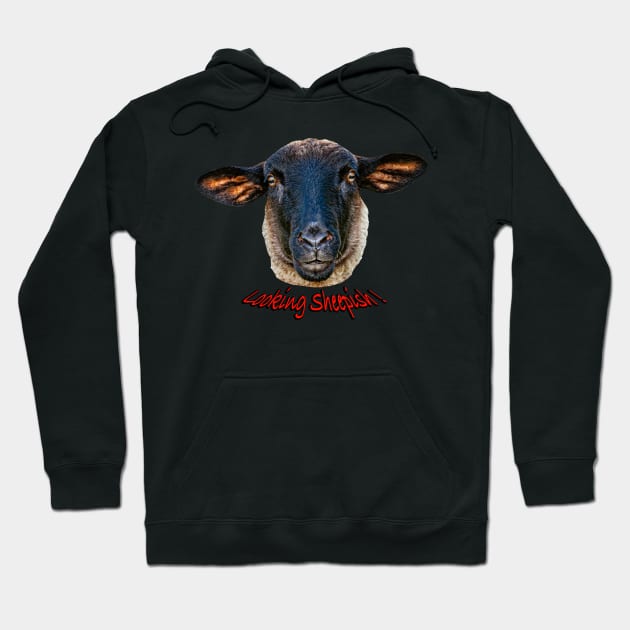 Looking Sheepish Hoodie by dalyndigaital2@gmail.com